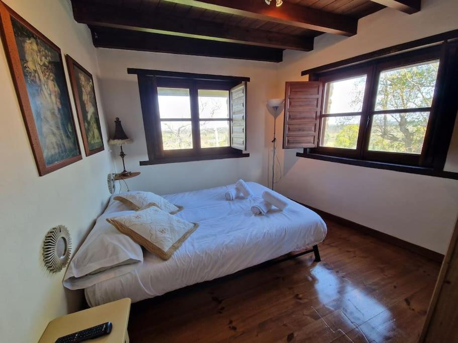 14A04 Casa De Piedra Colunga Villa ภายนอก รูปภาพ
